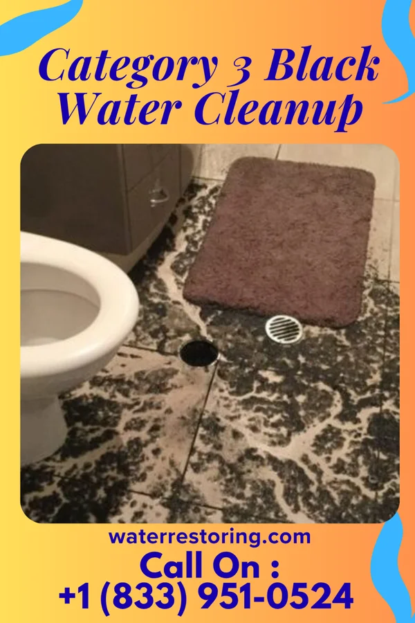 Category 3 Black Water Cleanup in Salem, MA